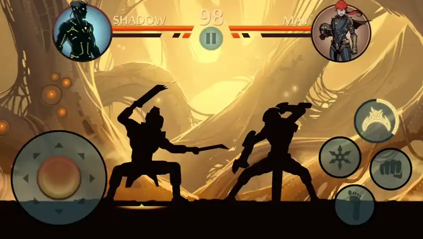 amazing graphics of shadow fight 2